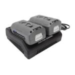 Restored Snow Joe + Sun Joe iCHRG40-DPC | iONMAX Lithium-Ion Battery Dual Port Charger | 40 Volt | CERTIFIED AUTHENTIC (Refurbished) - Image 3